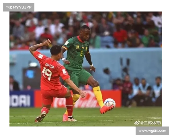 世界杯非洲区爆冷佛得角力克喀麦隆球迷疯狂涌入球场庆祝