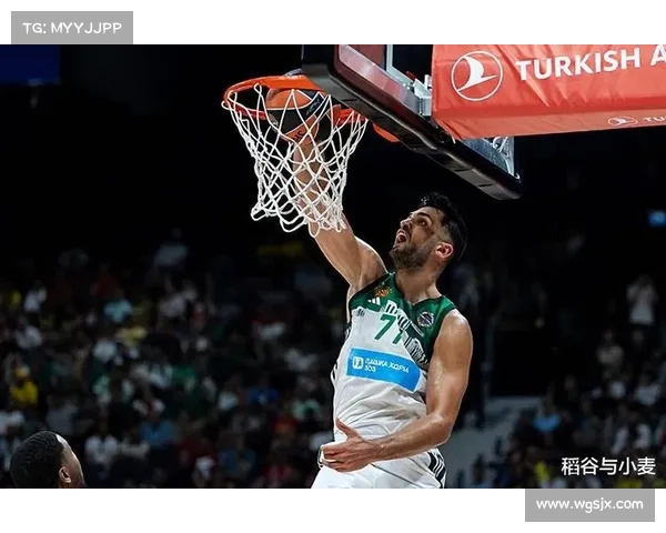 热火韦尔转打替补角色效率大增 场均14分11篮板稳固价值